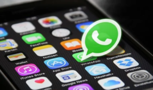 Kekesalan Adik Ipar Vanessa Dengar Pesan Suara Tubagus Joddy Kekesalan Adik Ipar Vanessa Dengar Pesan Suara Tubagus Joddy