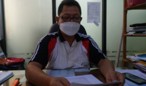 Petani Dimintai Waspadai Hama Tikus pada Awal Musim Tanam