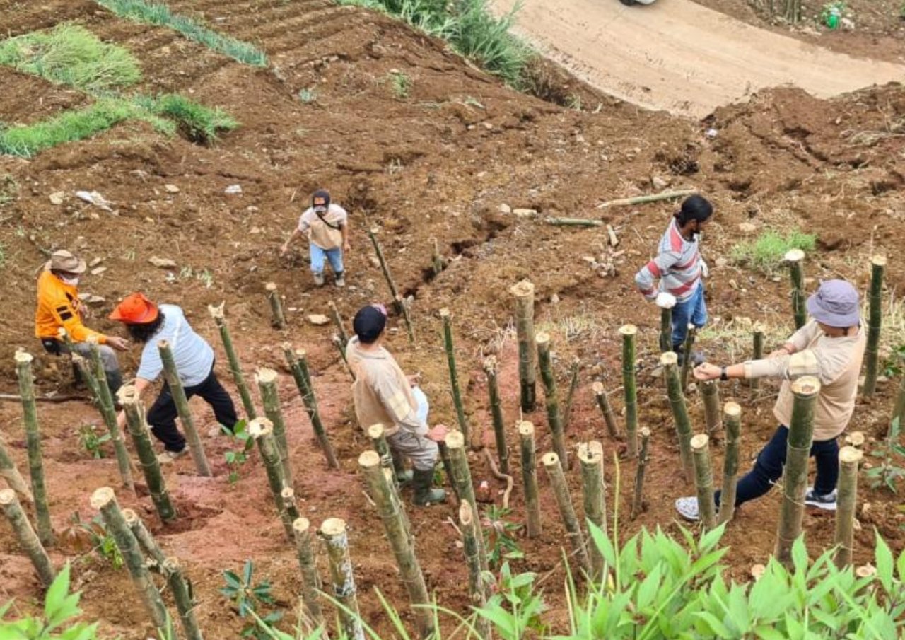 Cegah Longsor di Batang, Sejumlah Pohon Jenis Tegakan Ditanam