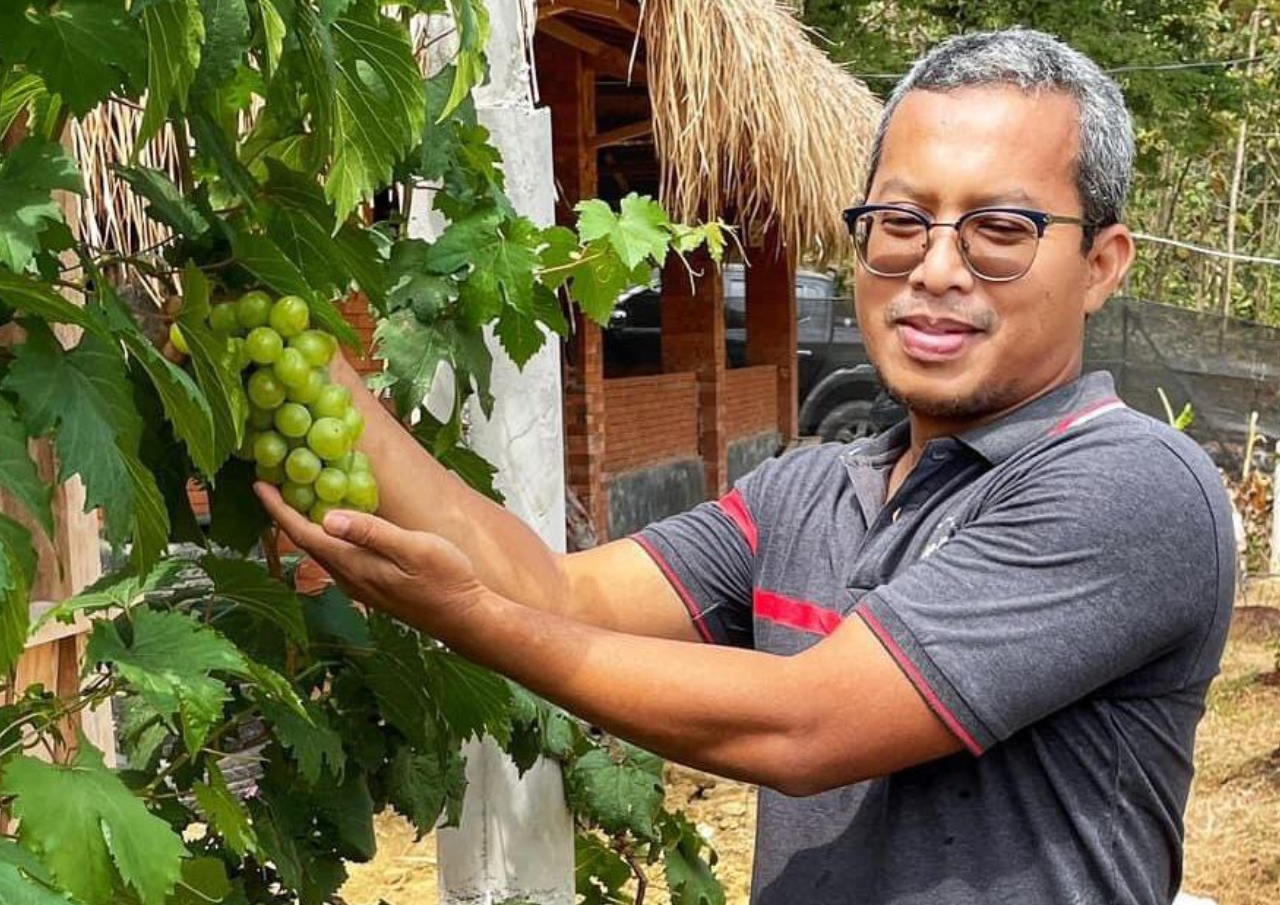 Kampung Pengangguran di Rembang jadi Agrowisata Kebun Anggur