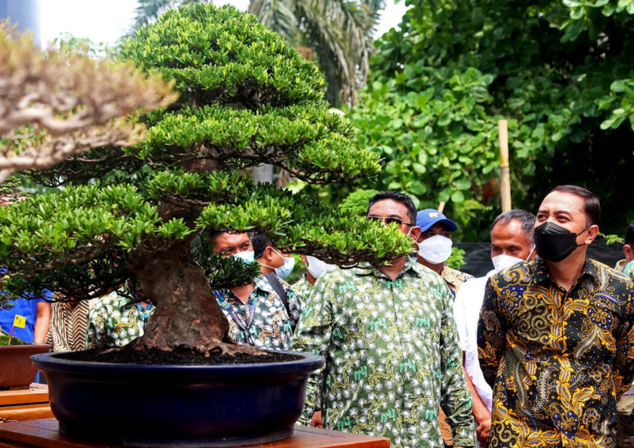 950 Pohon Bonsai, Meriahkan Pameran Bonsai Nasional Surabaya