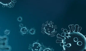 Pasien Varian Omicron di Indonesia Bertambah