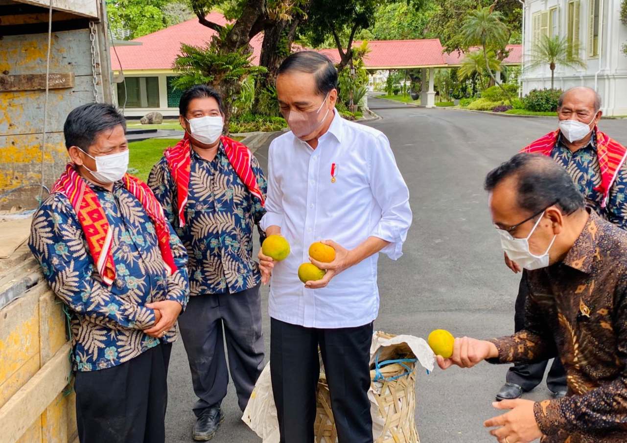 Agar Jalannya Diperhatikan Pemerintah, Warga Kirimkan 3 Ton Jeruk untuk Jokowi