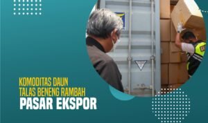 Komoditas Daun Talas Beneng Rambah Pasar Ekspor