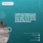Lahan Enam Hektar Siap Digunakan untuk Relokasi Korban Semeru