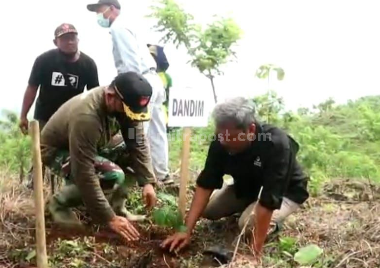 Lestarikan Lingkungan, Kodim 0720/Rembang Tanam 15.000 Pohon