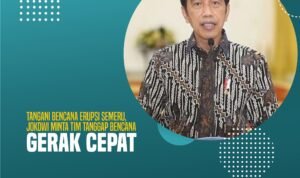 Tangani Bencana Erupsi Semeru, Jokowi Minta Tim Tanggap Bencana Gerak Cepat