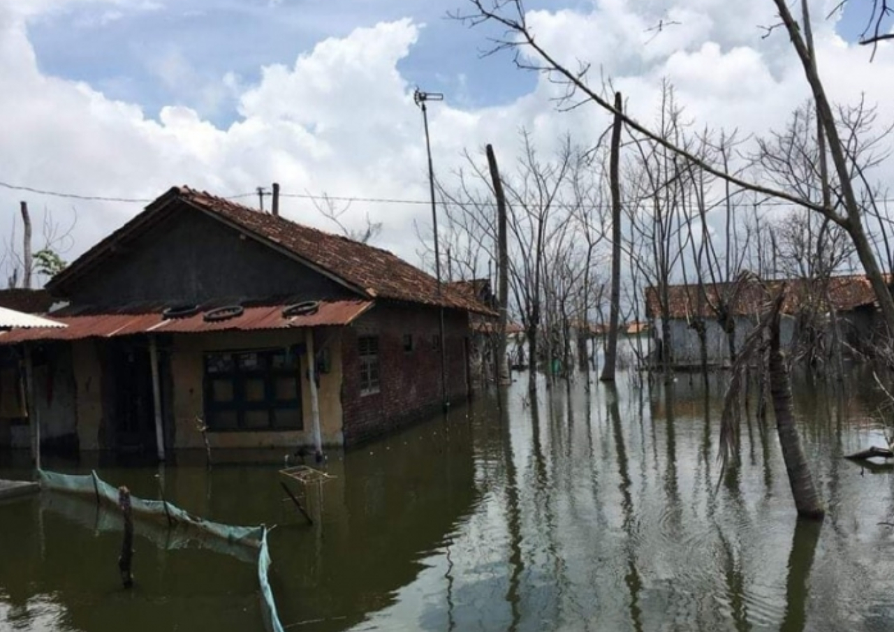 Banjir Rob Tak Kunjung Surut, Ratusan Masyarakat Pekalongan Bertahan di Pengungsian