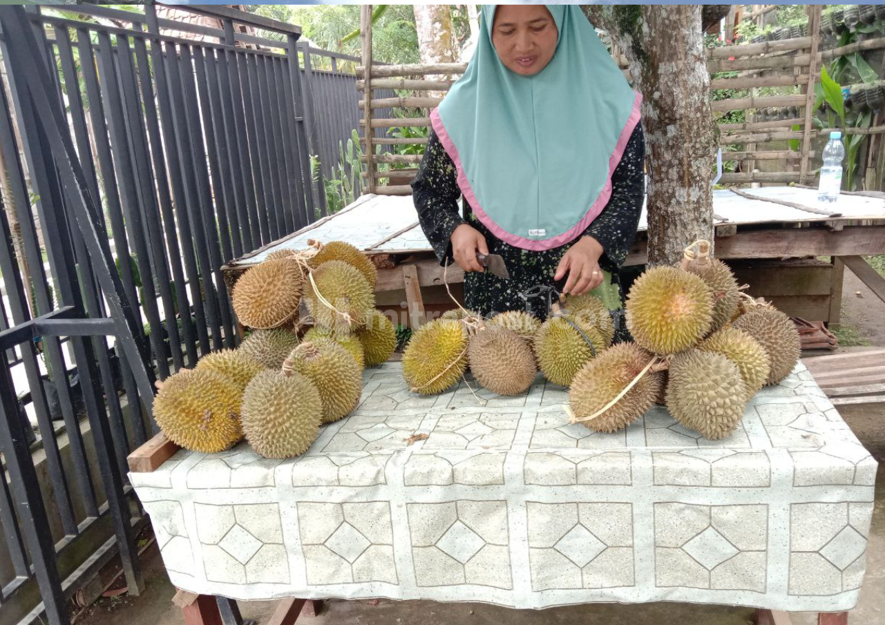 Durian Criwik Jadi Buah Unggulan Khas Rembang