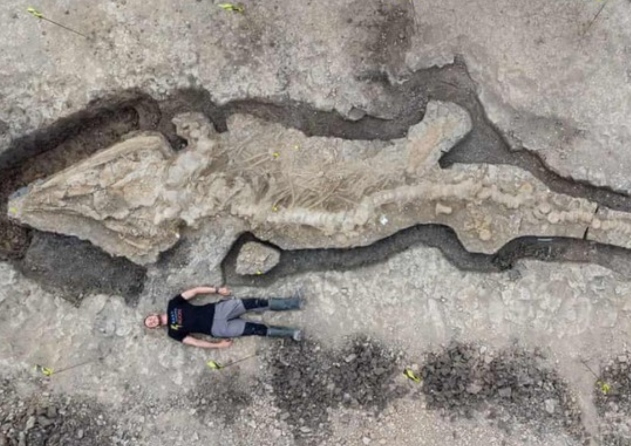 Fosil Naga Ditemukan di Inggris