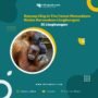 Konsep City in The Forest Munculkan Risiko Kerusakan Lingkungan di Kalimantan