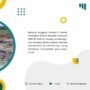 Konsep City in The Forest Munculkan Risiko Kerusakan Lingkungan di Kalimantan