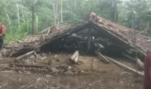 Pilu, Nenek Berumur 82 Tahun Tertimpa Reruntuhan Rumah Roboh