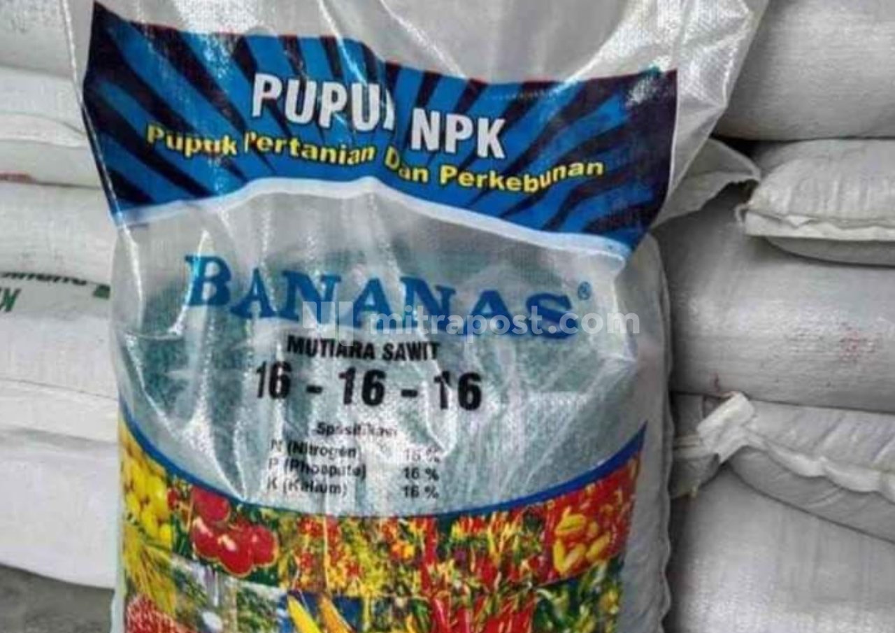 Kado Pahit Tahun Baru, Harga Pupuk Non Subsidi Naik 100 Persen