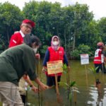 Hampir 100 Meter Bibir Pantai di Kabupaten Batang Hilang