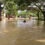 Dprd Dorong Pemkab Pati Siapkan Skala Prioritas Menangani Banjir