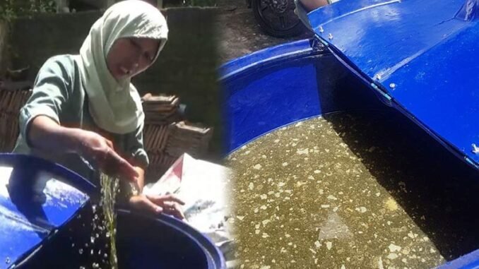 Pemerintah Didesak Segera Usut Pengadaan Minyak Goreng Palsu