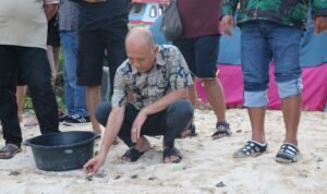 Upaya Pelestarian, Bupati Jepara Imbau Masyarakat Tak Tangkap Penyu