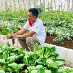 Dewan Apresiasi Capaian Produk Pertanian Organik yang Jadi Unggulan di Pati