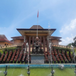 DBD Sering Terjadi saat Musim Hujan, Ini Penjelasan Dewan