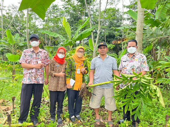 DPMPTSP Siapkan Kajian Teknis Budiaya Porang