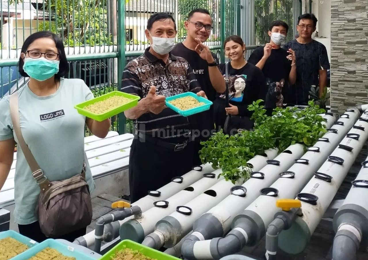 Dewan Apresiasi Kaum Milenial yang Masih Geluti Pertanian