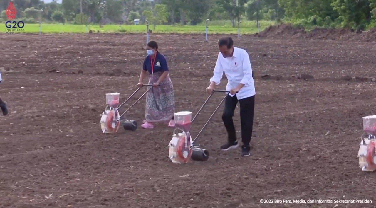 Jokowi Sebut Jagung jadi Lumbung Pangan di NTT