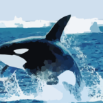 Kisah Nabi Yunus Ditelan Ikan Paus