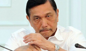 Luhut Ungkap RI Dituduh Palsukan Data Covid