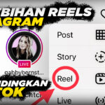 video : 5 kelebihan reels instagram di bandingkan dengan tiktok (2022) - mitrapost.com