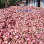 Bawang Merah Pati Over Produksi, DPRD Sarankan Inovasi Pasca Panen