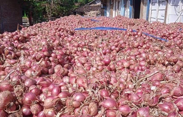Bawang Merah Pati Over Produksi, DPRD Sarankan Inovasi Pasca Panen