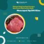 Harga Daging Sapi Secara Nasional Diprediksi Naik Mencapai Rp200 Ribu