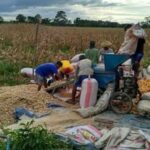 Kementerian Pertanian sampai Dinas Pertanian Pati Diharapkan Waspadai Tengkulak Jagung