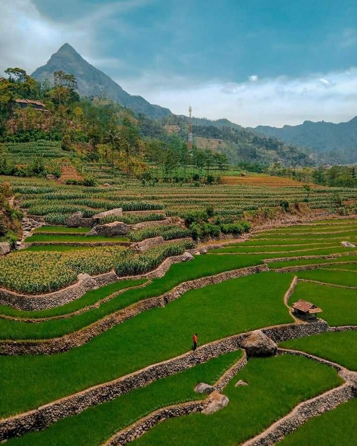 12 Desa Wisata Baru di Pati Dilaunching Pekan Depan, Ini Lokasinya