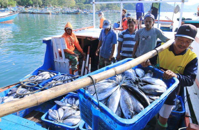 Aturan Operasional Kapal 30 GT, Dikeluhkan Nelayan Rembang
