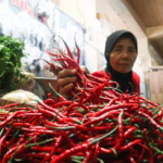 Harga Cabai di Pati Meroket, Lombok Setan Tembus Rp90 Ribu
