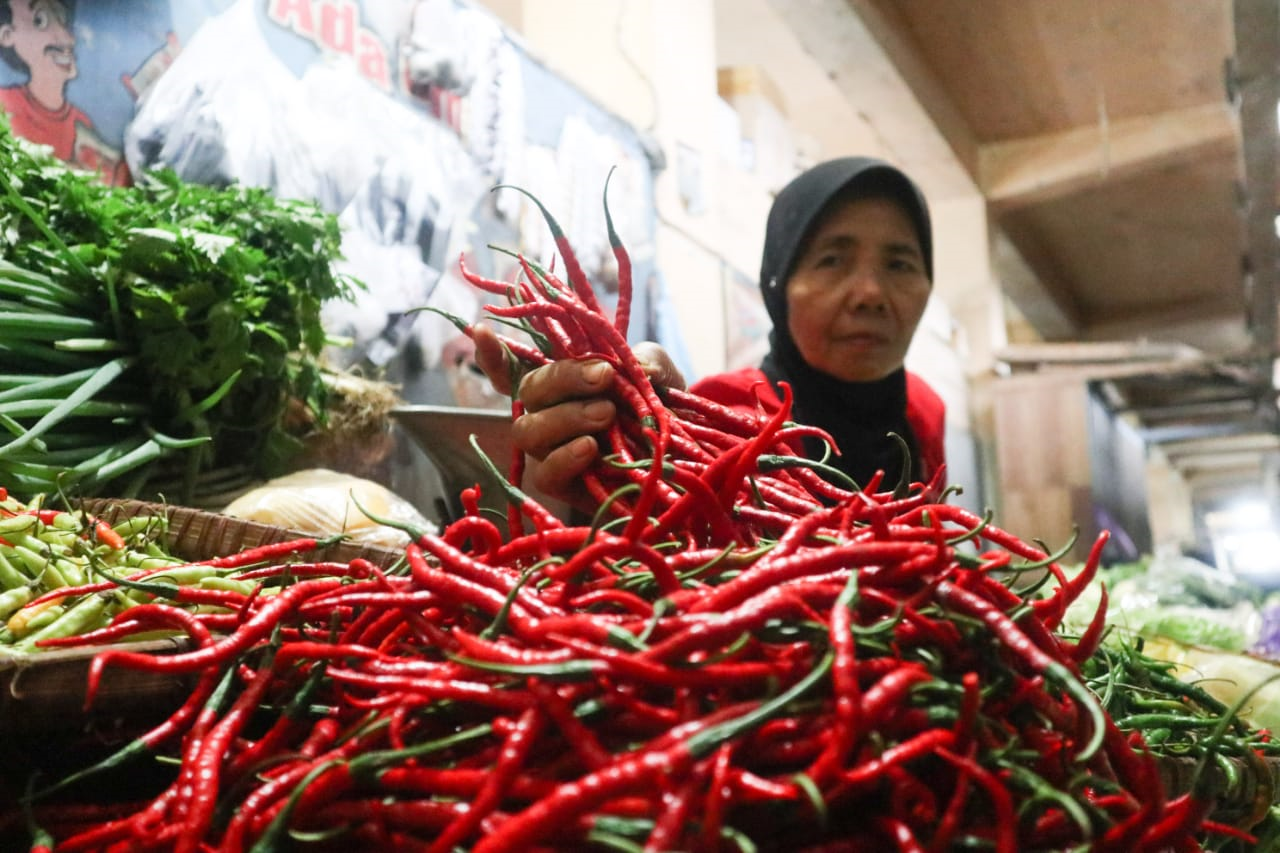Harga Cabai di Pati Meroket, Lombok Setan Tembus Rp90 Ribu
