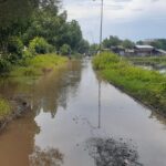 Banjir Rob Banjir di Pati Kembali Terjadi, 200 Rumah Tergenang