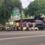 pasar hewan margorejo ditutup, pedagang ternak tetap nekat berjualan