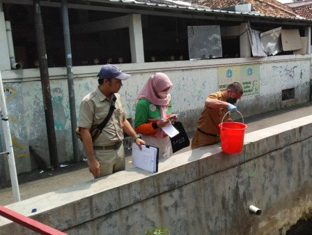 DLH DKI Jakarta Selidiki Penyebab Kematian Massal Ikan di Sungai Kalibaru Timur