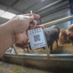 Jelang Iduladha, 8331 Hewan Ternak di Bandung Dipastikan dalam Kondisi Sehat