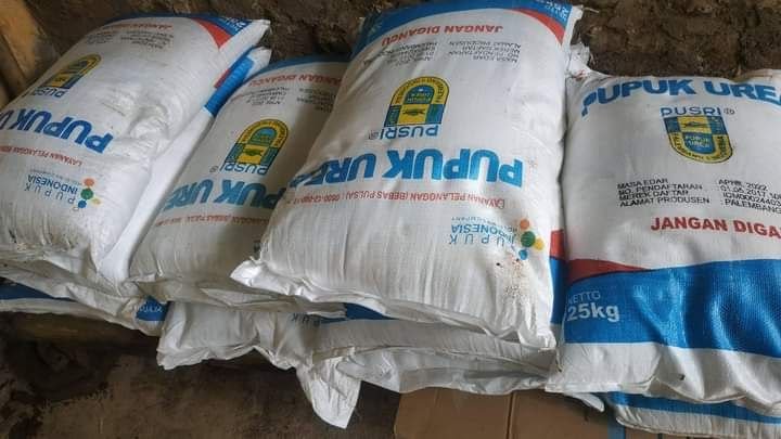 Pemerintah Hanya Salurkan 2 Jenis Pupuk Subsidi, Dispertan: Tunggu Sosialisasi Pemerintah Hanya Salurkan 2 Jenis Pupuk Subsidi, Dispertan: Tunggu Sosialisasi