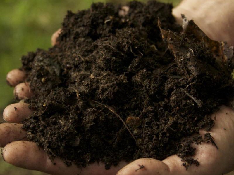 Petani di Batang Mulai Beralih ke Pupuk Organik