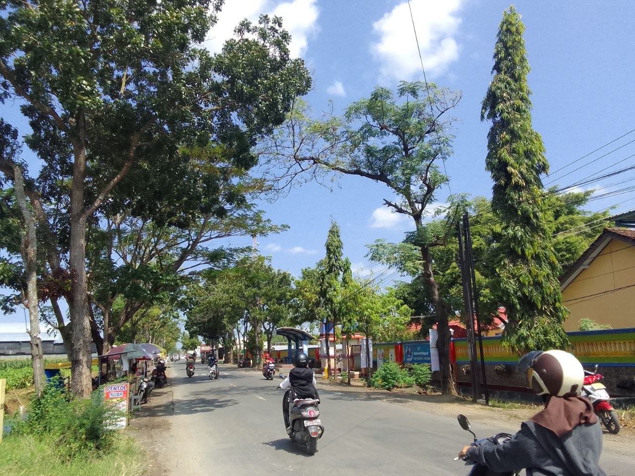 Ketersediaan Tutupan Lahan di Pati Masuk Dalam Kategori Rendah