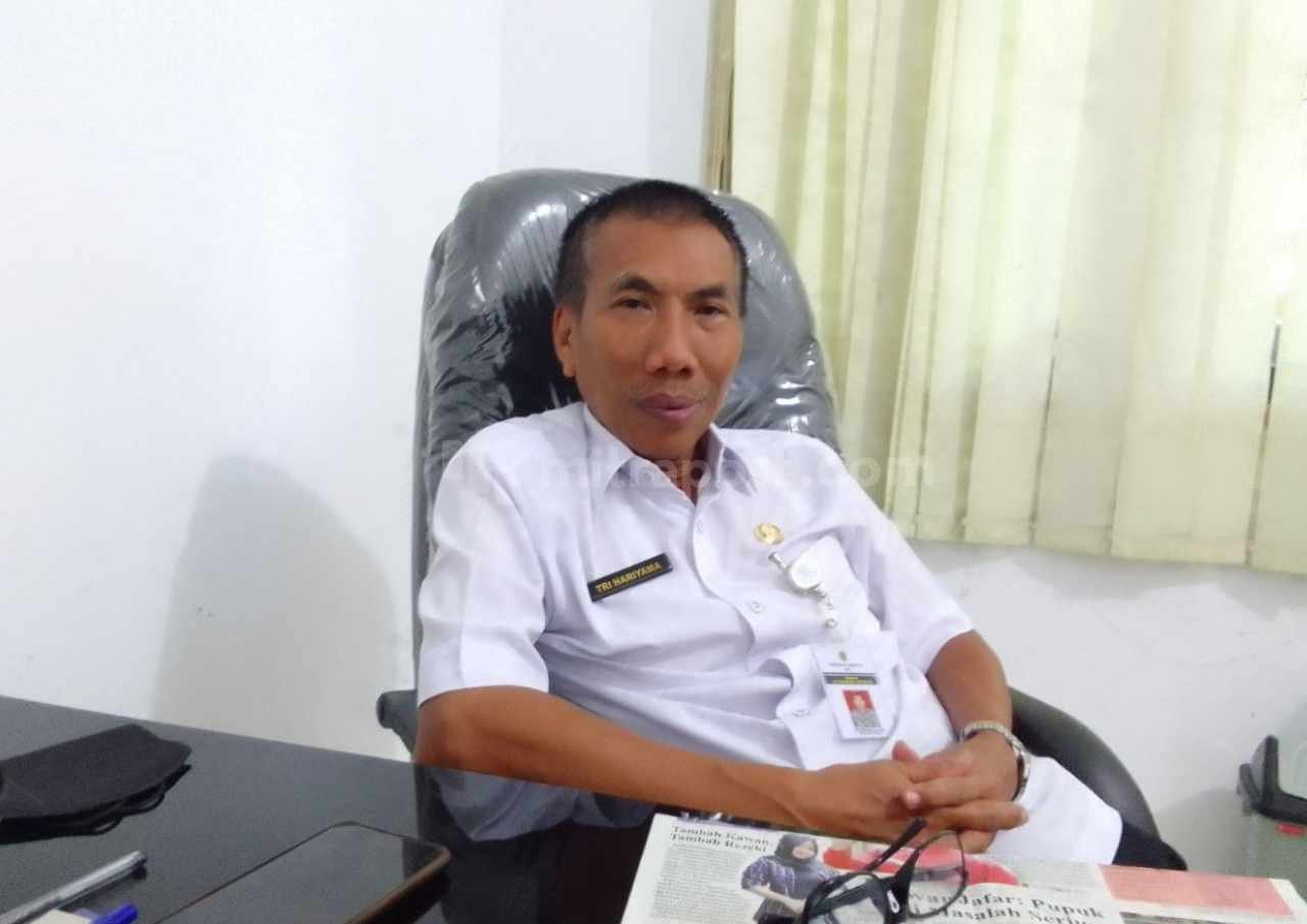 Cadangan Gabah Bantuan Bencana Alam di Dinas Ketapang Pati Tersisa 30 Ton