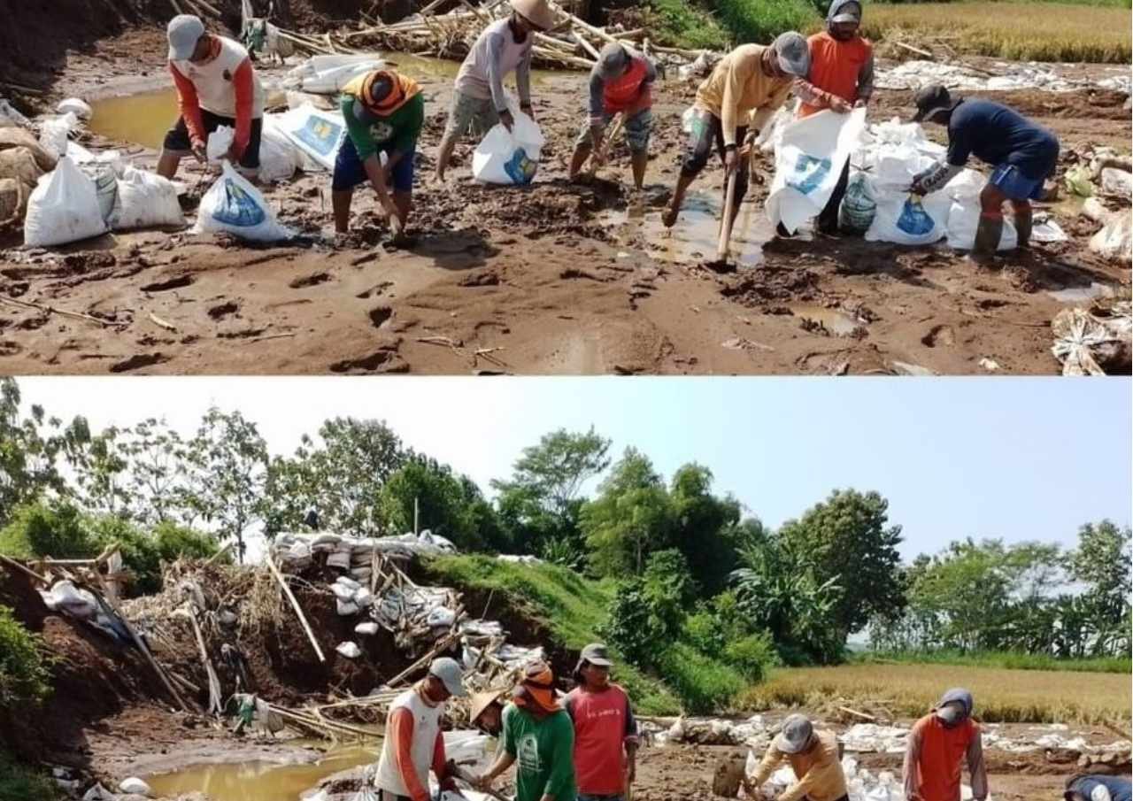 Seminggu Pasca Banjir Bandang, Pelayanan Pemdes Bulumanis Kidul Dibuka Kembali Seminggu Pasca Banjir Bandang, Pelayanan Pemdes Bulumanis Kidul Dibuka Kembali