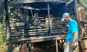 Kebakaran Melahap Kandang di Jekulo Kudus, Puluhan Kambing Hangus