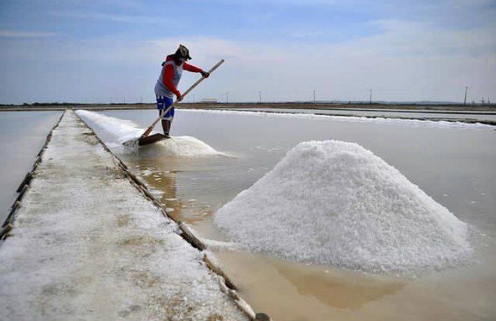 Foto: Petani garam di Kaliori kabupaten Rembang/mitrapost.com/Istimewa