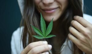 Gelar Pembahasan Legalisasi Ganja, Komisi III Inginkan Ada Lembaga Kajian Khusus